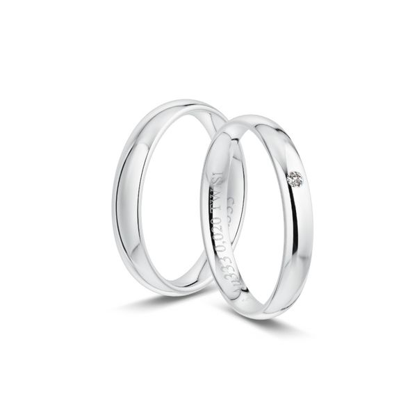 Modell T-10025-W Modell T-10025-W – Bild 1